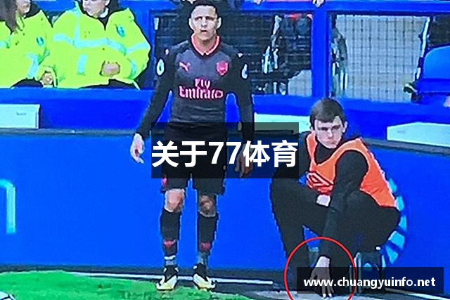关于77体育